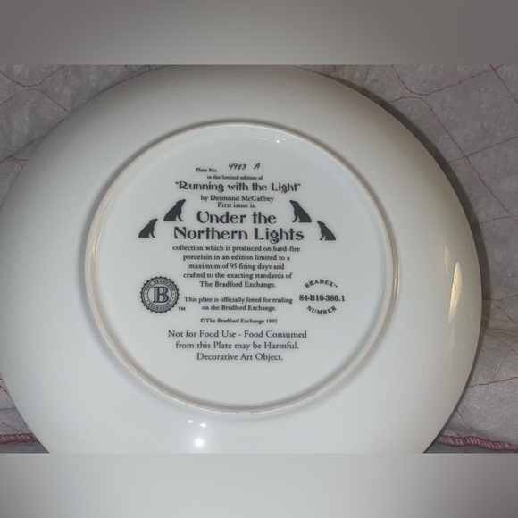 The Bradford Exchange "Running with the Light" by Desmond McCaffrey Plate #3519A - Picture 2 of 4